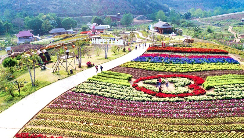 Happy Land Mộc Châu: Bình yên, rực rỡ.