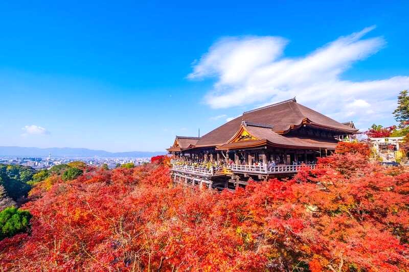 Kiyomizu-dera: Ngắm lá đỏ đẹp nhất Kyoto mùa thu.