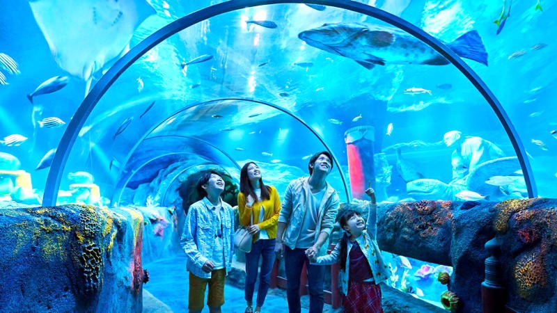 Bạn yêu thích khám phá? Sea Life Malaysia là điểm đến lý tưởng!