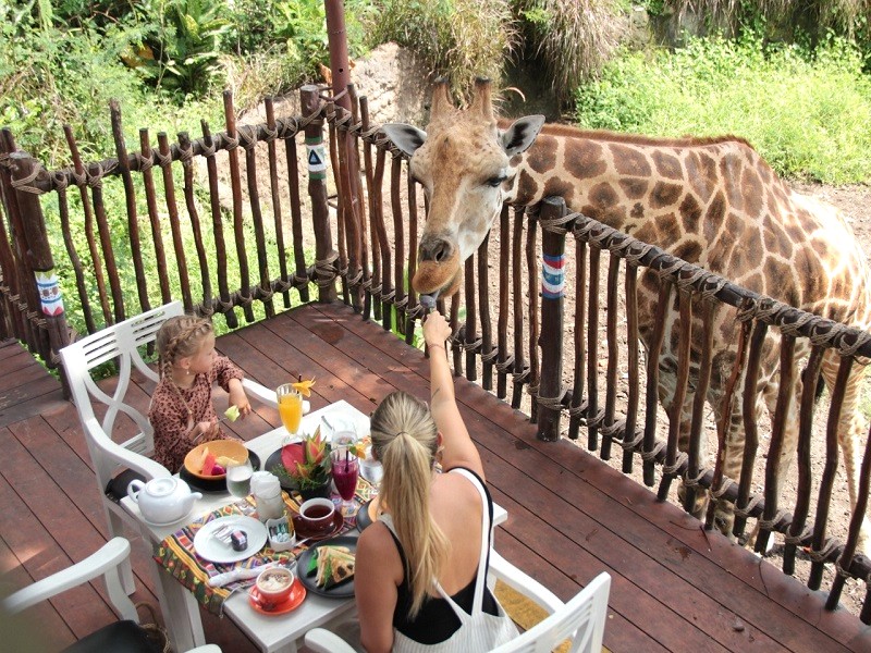 Khám phá Taman Safari độc đáo!