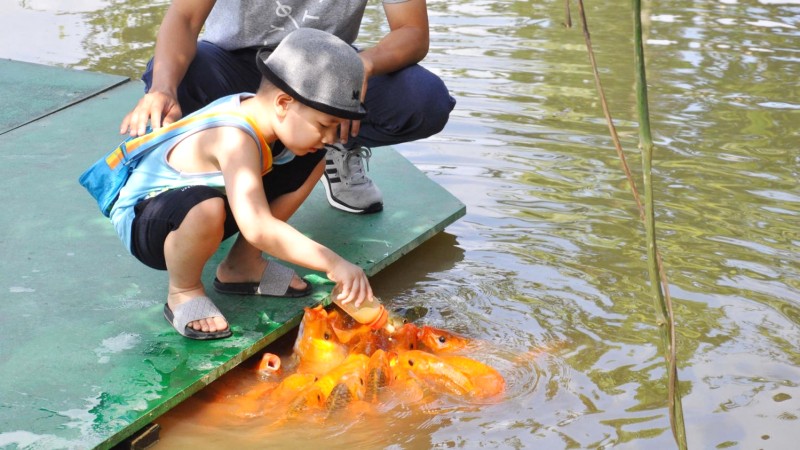 Khám phá thác Yang Bay Nha Trang với nhiều hoạt động thú vị.