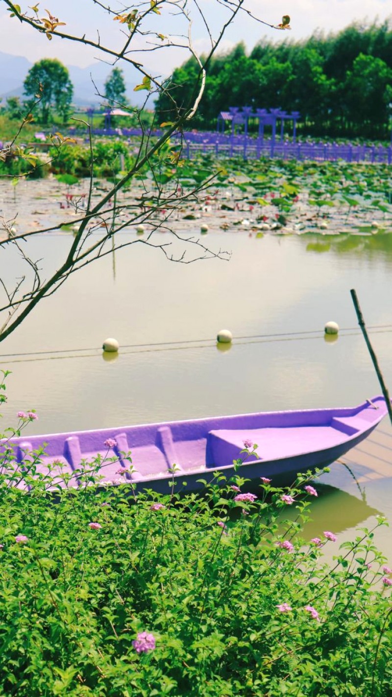 Bình yên thơ mộng.