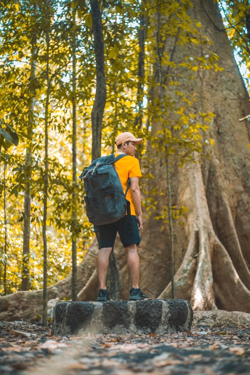 Trekking xuyên rừng: Rèn luyện sức khỏe, khám phá vẻ đẹp thiên nhiên.