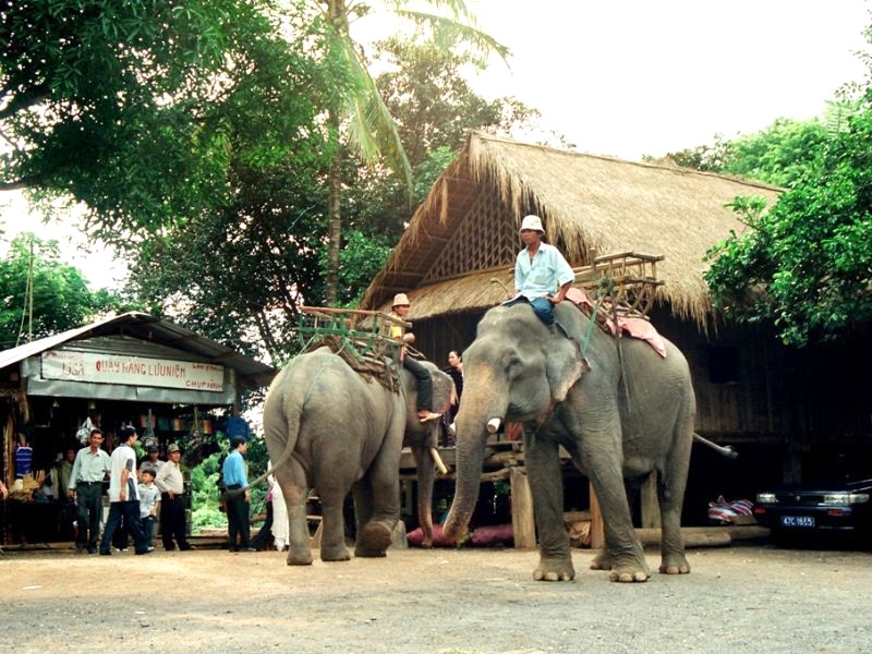 Buôn Đôn: Ngôi nhà của voi (Ảnh: UBND tỉnh Đắk Lắk)