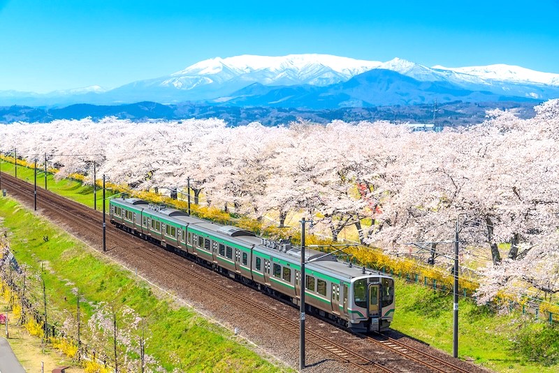 Tohoku có khí hậu ôn hòa với bốn mùa rõ rệt, giống như phần lớn Nhật Bản.