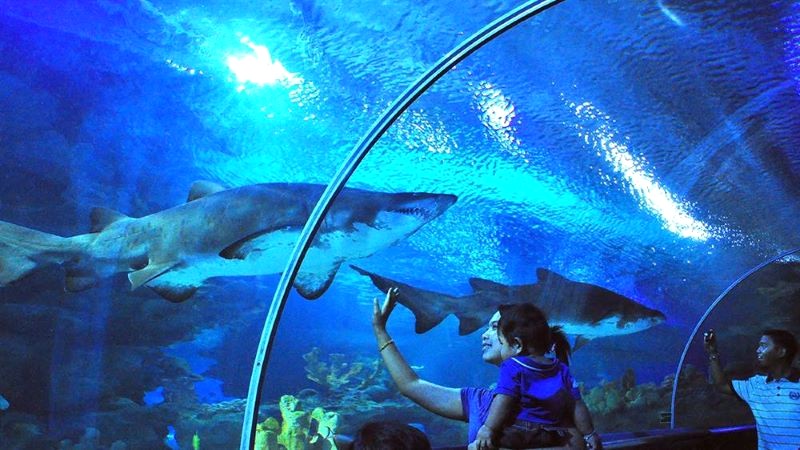 Aquaria KLCC là một trong những thủy cung lớn nhất thế giới.