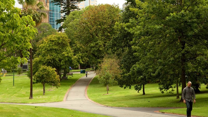 Fitzroy Gardens: Lá phổi xanh của Melbourne.