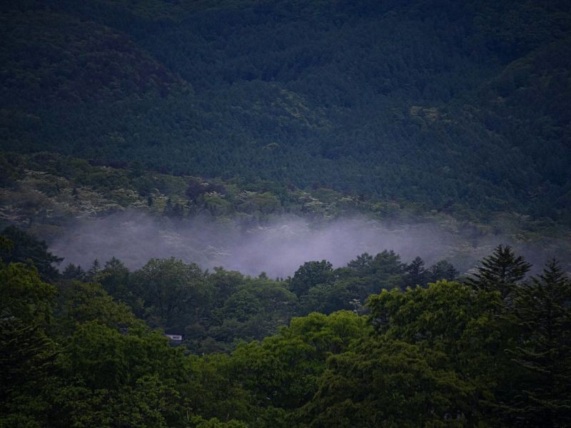 Karuizawa: Nơi yên bình tách biệt phố thị. (Ảnh: Ryunosuke Ide)