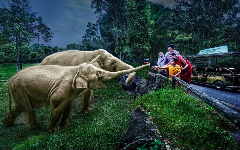 Night Safari Singapore: Vườn thú đêm đầu tiên thế giới.