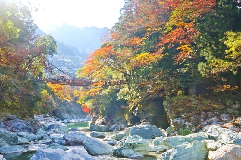 Tokushima: Thiên nhiên & văn hóa độc đáo.