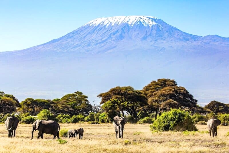 Kilimanjaro, nóc nhà Châu Phi, cao ngất trời.