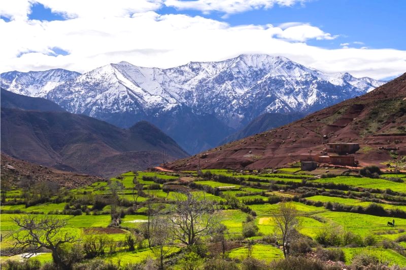 Núi Atlas trải dài 2.500km, chiếm 1/3 diện tích Morocco.