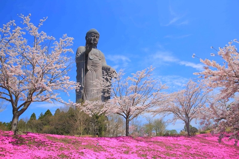 Ushiku Daibutsu, tượng Phật ngoài trời cao nhất thế giới (120m).