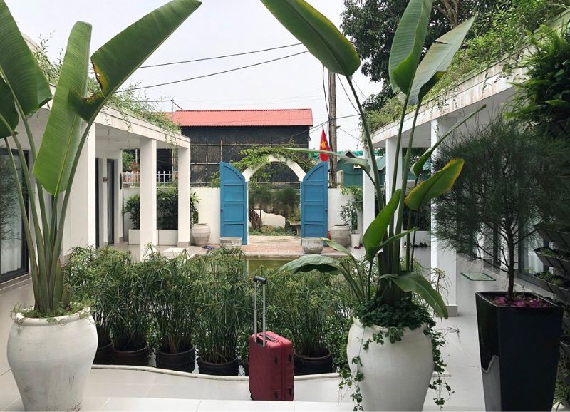 Homestay trắng - xanh, bình yên thư giãn.