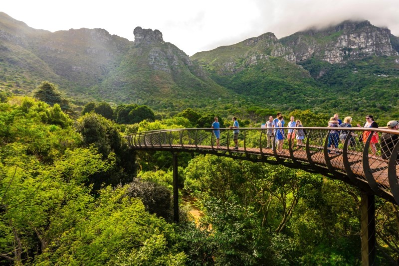 Vườn Thực Vật Kirstenbosch, một trong những khu vườn đẹp nhất thế giới.