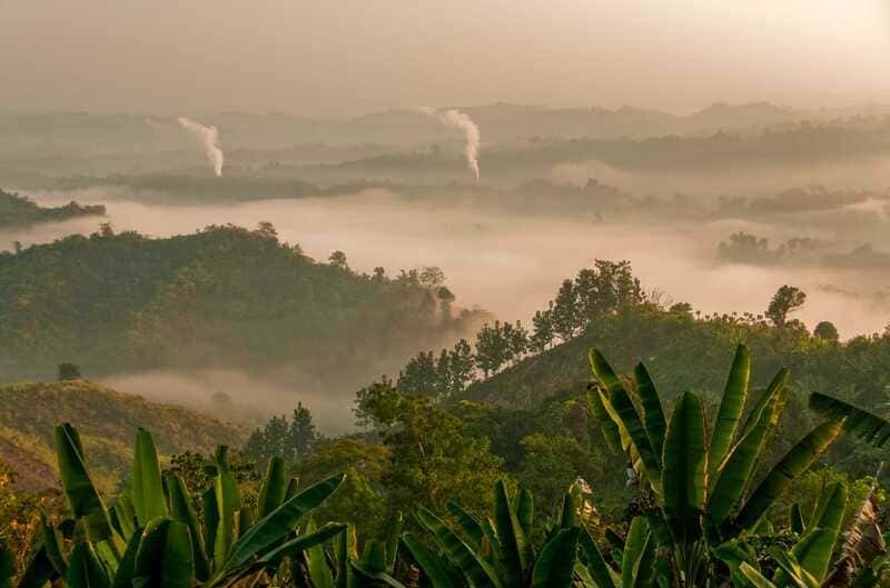 Đồi trà Finlays rộng lớn, điểm du lịch đẹp ở Bangladesh.