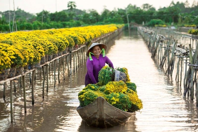 Miền Tây: Tết giản dị, mến khách.