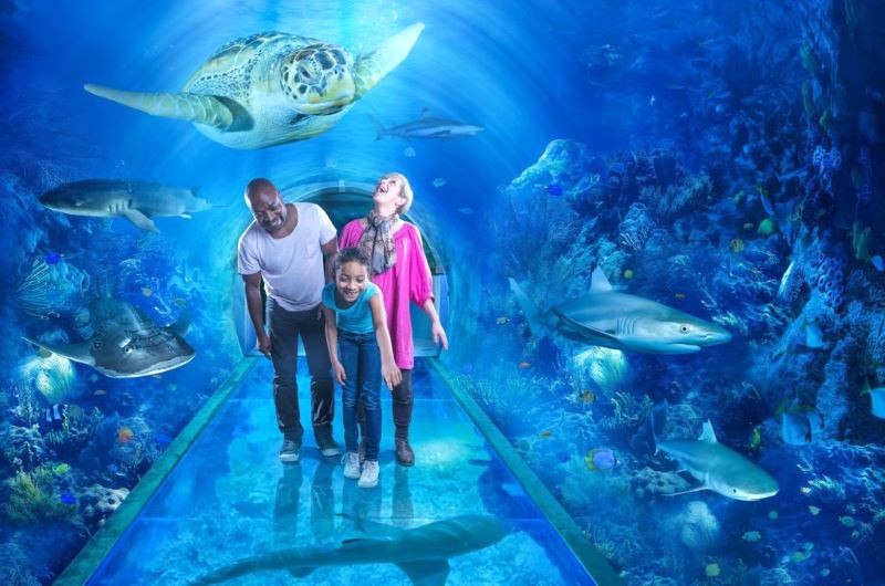 Thủy cung Sea Life London, nằm tại bến cảng Darling, là một trong những thủy cung lớn nhất thế giới.