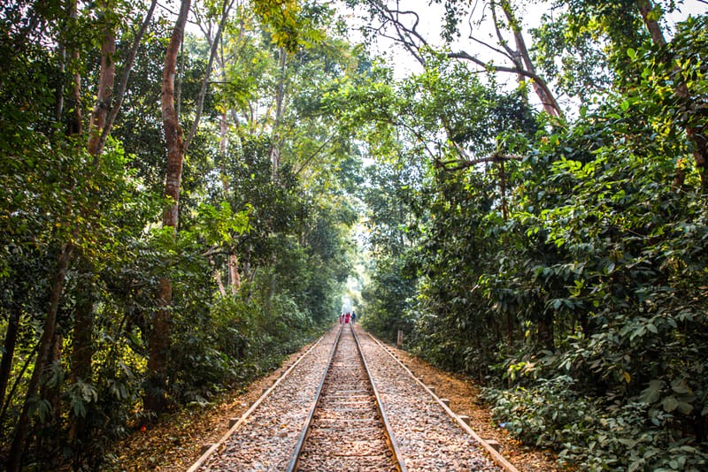 Vườn Quốc gia Lowacherra: thiên nhiên trong lành, một không gian thư giãn lý tưởng.