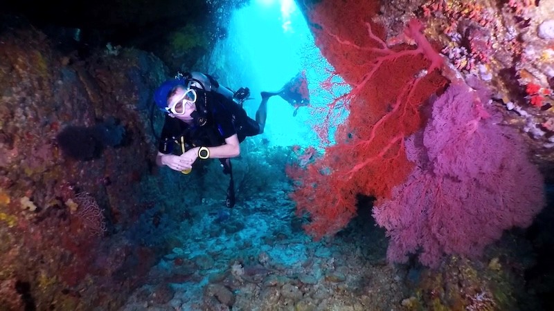 Koh Similan nổi tiếng với hệ sinh thái biển phong phú. Lặn xuống, bạn sẽ được chiêm ngưỡng các loài động vật biển độc đáo của vùng Đông Nam Á.