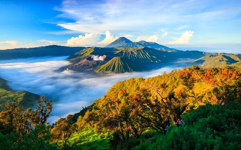 Vườn quốc gia Bromo Tengger Semeru với hệ sinh thái đa dạng, phong phú mang đến trải nghiệm khó quên cho du khách.