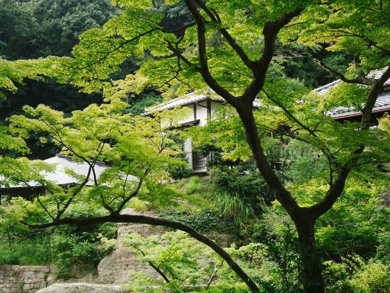 Kamakura nổi tiếng với những ngôi đền cổ kính. (50 ký tự)