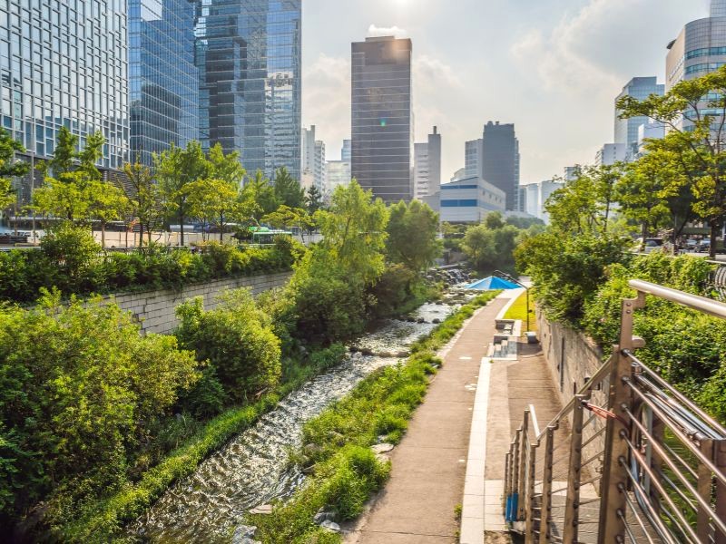 Suối Cheonggyecheon mang đến sắc xanh cho Seoul. (Ảnh: galitskaya)