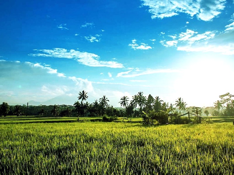 Nằm trên thượng nguồn sông Tukad Pekerisan, Subak Pulagan là di sản từ triều đại Warmadewa.