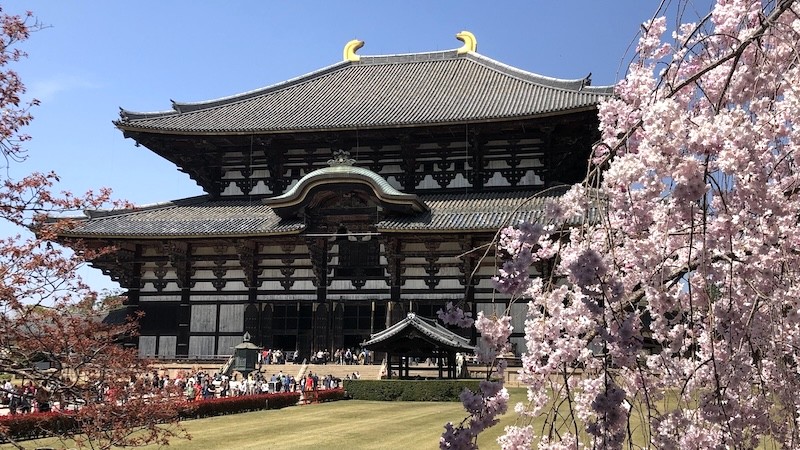 Todaiji, ngôi chùa Phật giáo lớn nhất Nara, được Thiên hoàng Shomu sáng lập, nổi tiếng với cấu trúc hoàn toàn không dùng đinh, kết nối cột, trụ, mấu bằng kỹ thuật độc đáo.