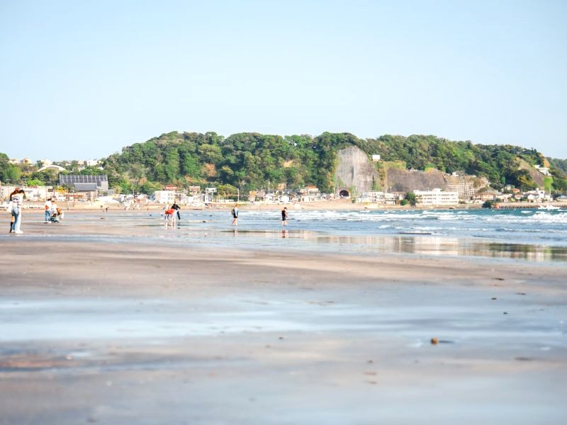 Bãi biển đẹp hút hồn tại Kamakura. (Ảnh: taro ohtani)