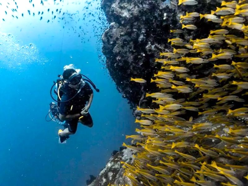 Koh Tao nổi tiếng với lặn biển.