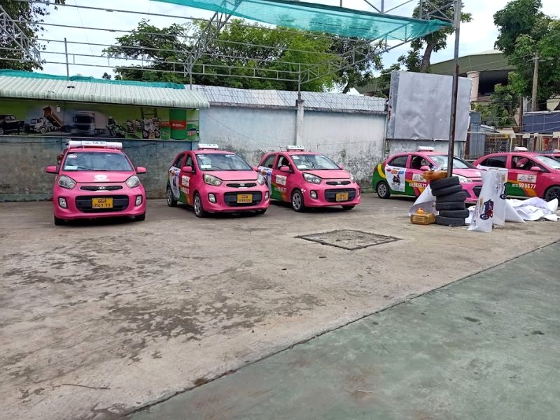 Taxi Tháp Sen Hồng: Đội xe hiện đại, tài xế chuyên nghiệp. (Ảnh: Nguyễn Thanh Hùng)