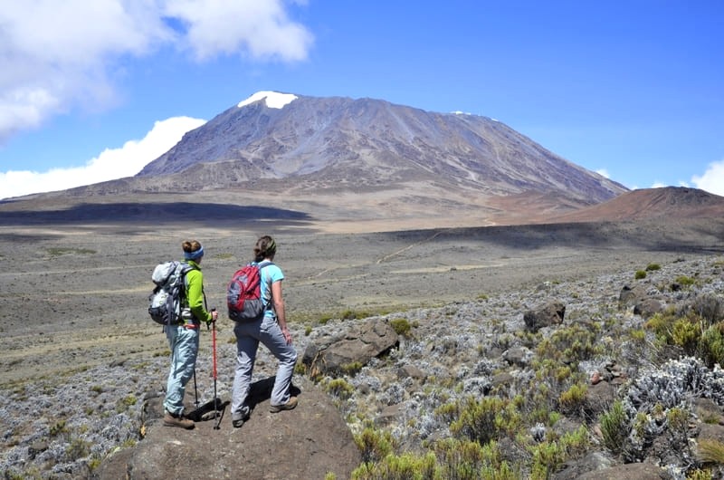 Marangu là tuyến đường dễ nhất lên Kilimanjaro.