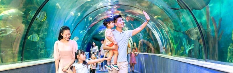 Thủy cung Vinpearl Times City: Chuyến phiêu lưu đại dương cho bé.