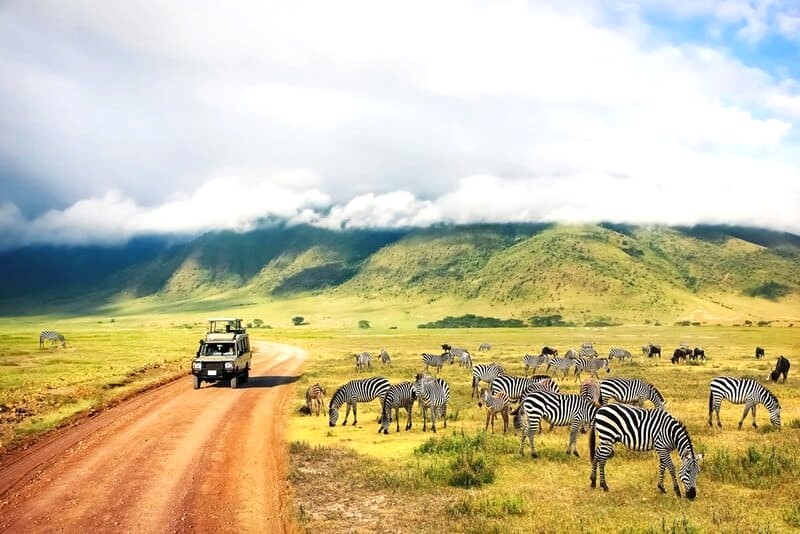 Serengeti: Ngôi sao của các vườn thú hoang dã.