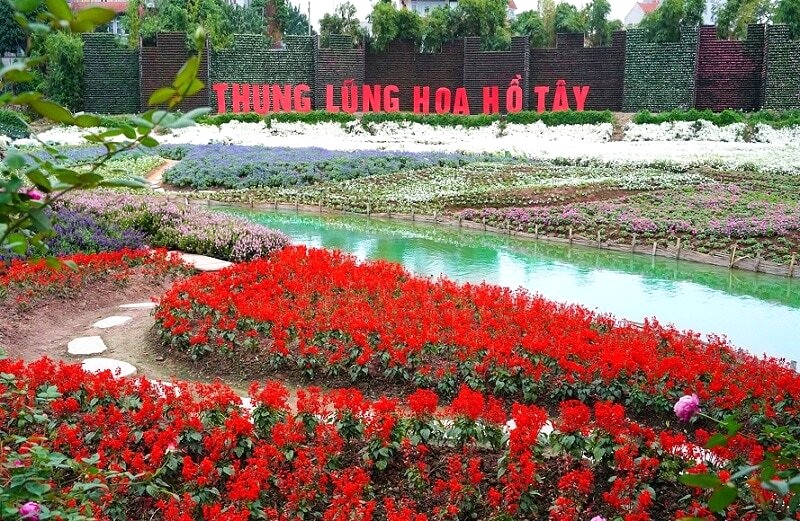 Thung lũng hoa rực rỡ sắc màu, điểm tô cho bức ảnh của bạn thêm lung linh.