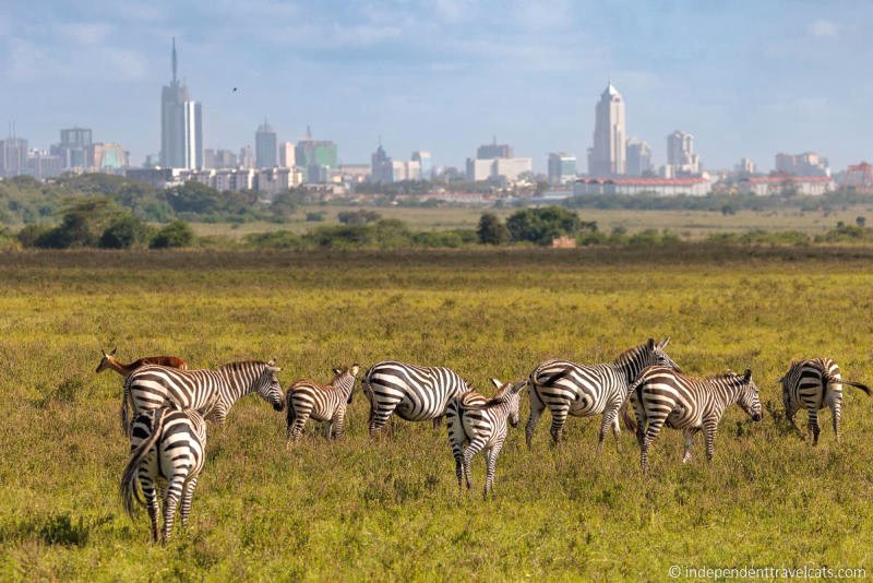 Lựa chọn thời điểm đến Nairobi phù hợp với mục đích và sở thích của bạn.