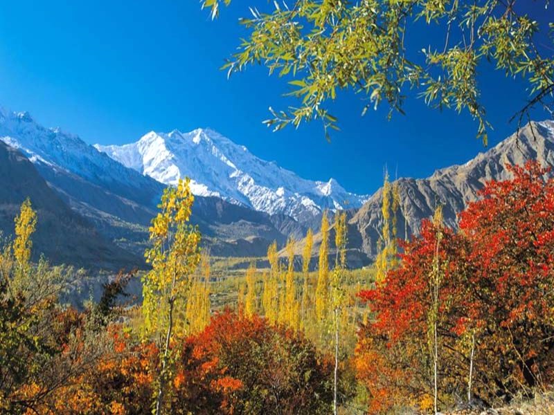 Thu quyến rũ tại Pakistan.