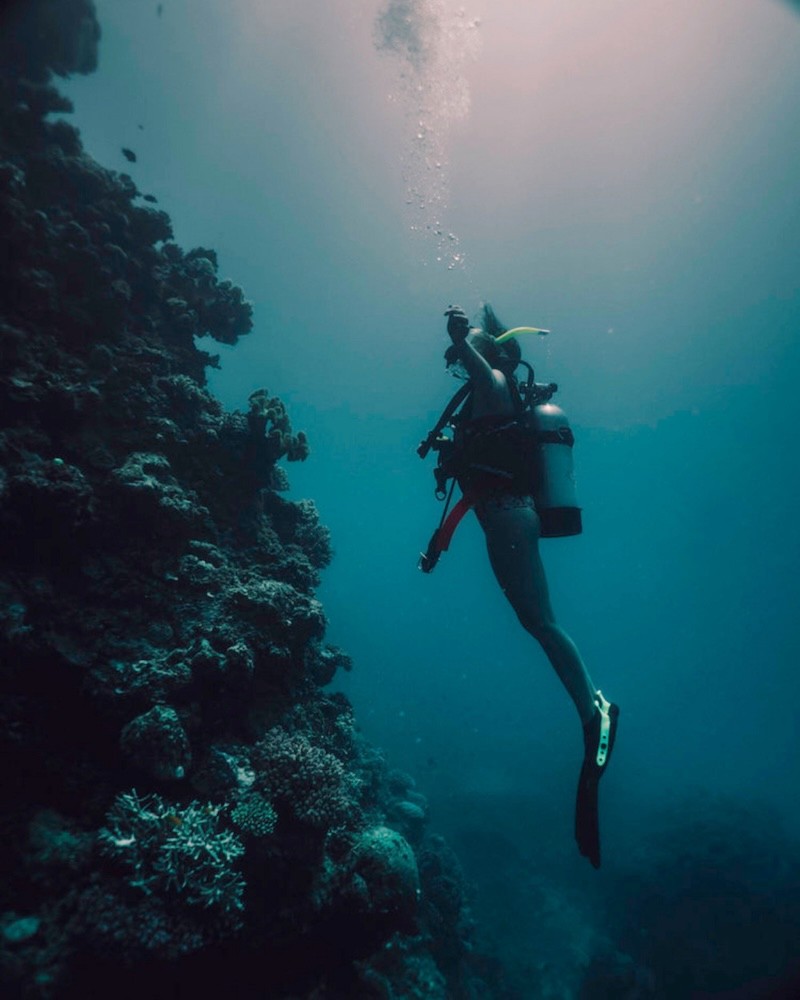 Lặn xuống lòng đại dương để chiêm ngưỡng vẻ đẹp hùng vĩ của Great Barrier Reef, một kiệt tác của Mẹ thiên nhiên.