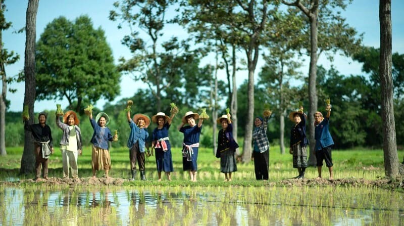 Hiện chưa có chuyến bay thẳng từ Việt Nam đến Bangladesh.