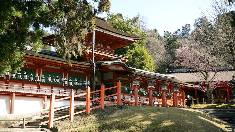 Kasuga Taisha nổi tiếng với hàng trăm cột đèn lồng đá dẫn đến điện chính.