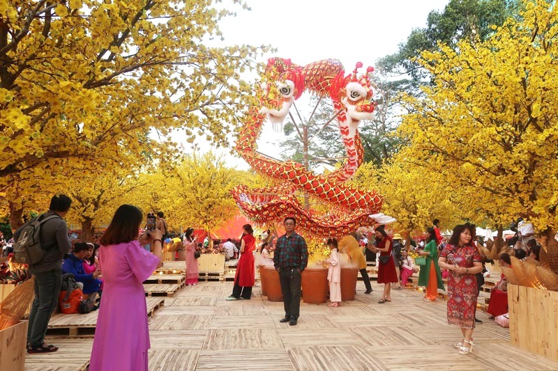 Mai vàng rực rỡ, phông nền Tết tuyệt đẹp!