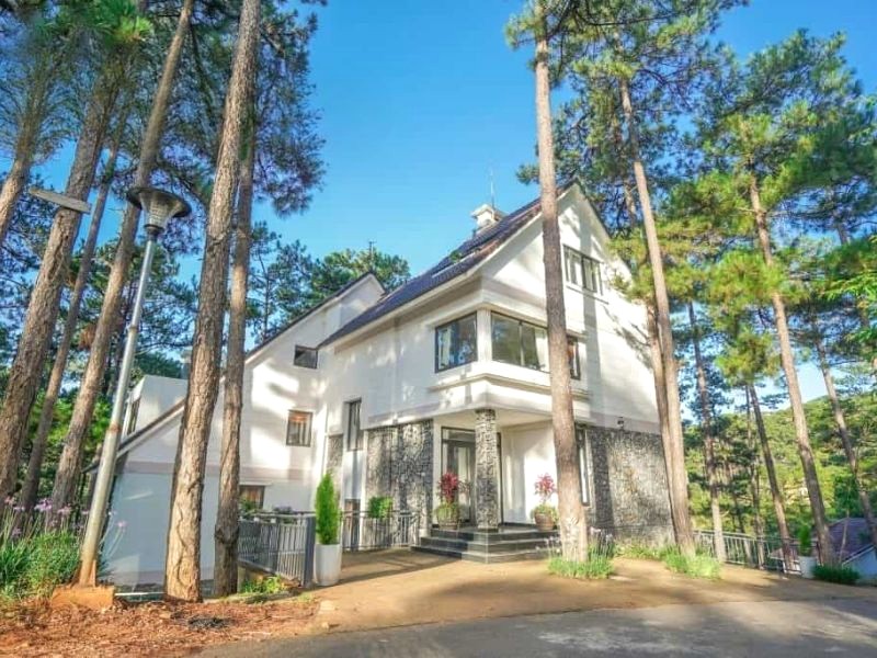 Pine Villa ẩn mình giữa đồi thông cổ thụ (Ảnh: dalat-info).