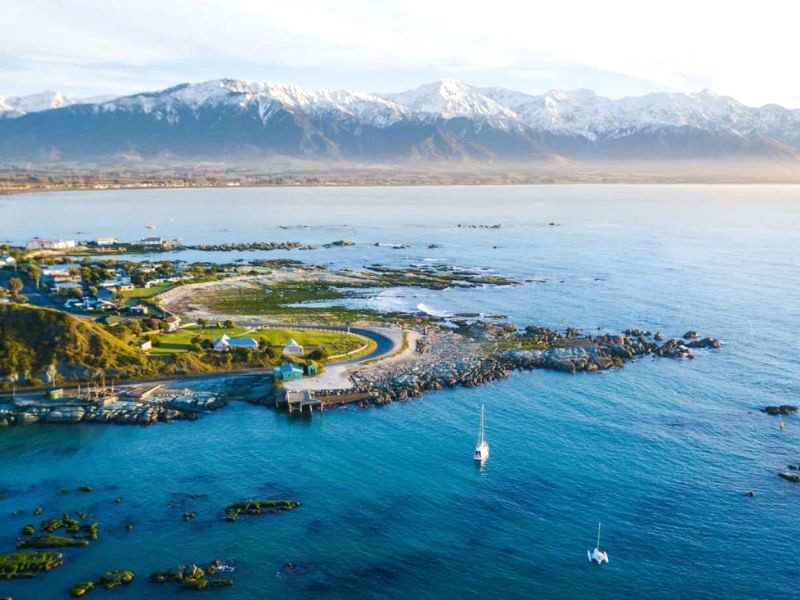 Hành trình Alpine Pacific: Kỳ thú Kaikoura!