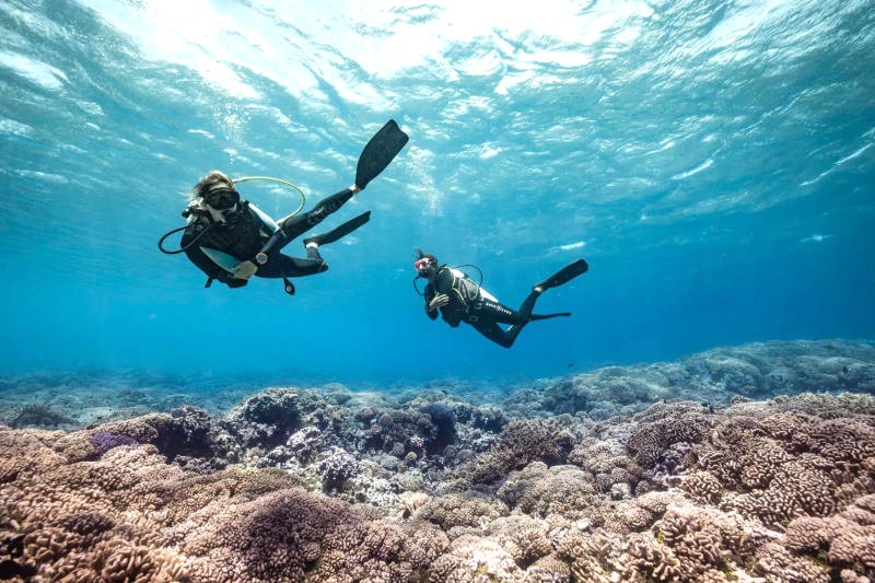 Lặn biển ngắm san hô - trải nghiệm tuyệt vời ở Tahiti.