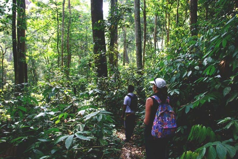 Gunung Leuser thu hút giới trẻ ưa phiêu lưu.