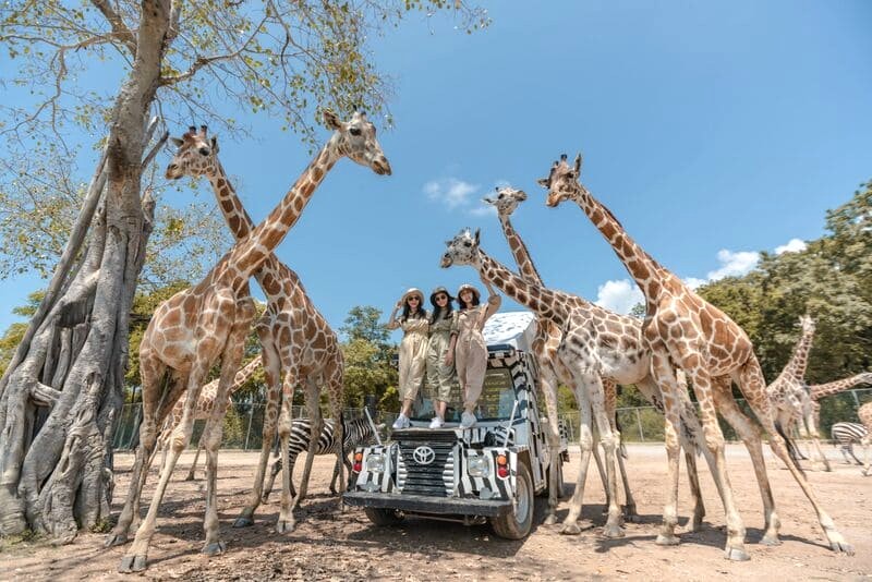 Khám phá thế giới hoang dã Châu Phi đầy màu sắc tại Safari Park.