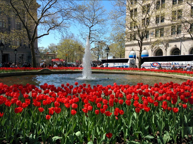 Bowling Green là công viên lâu đời nhất ở New York.