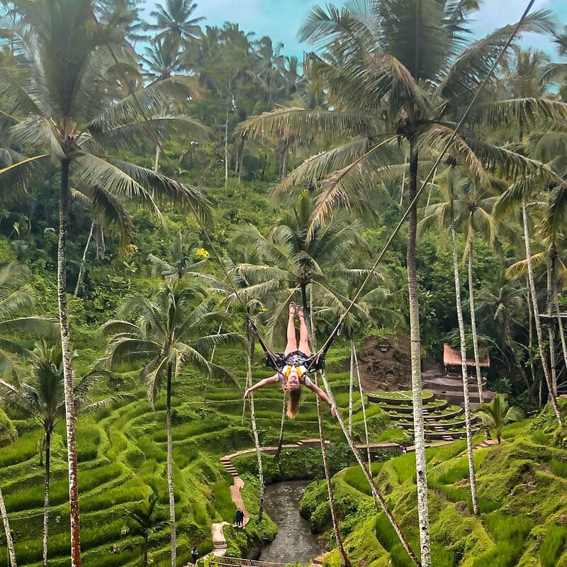 Mầm lúa xanh rì bao quanh Terrace River Pool Swing, tạo nên khung cảnh thơ mộng, thu hút du khách.