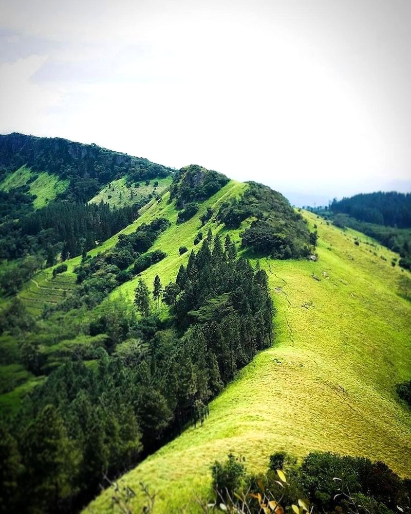 Núi Hanthana, cách Kandy 30 phút, gần Bảo tàng trà Ceylon, là điểm trekking lý tưởng thu hút du khách.